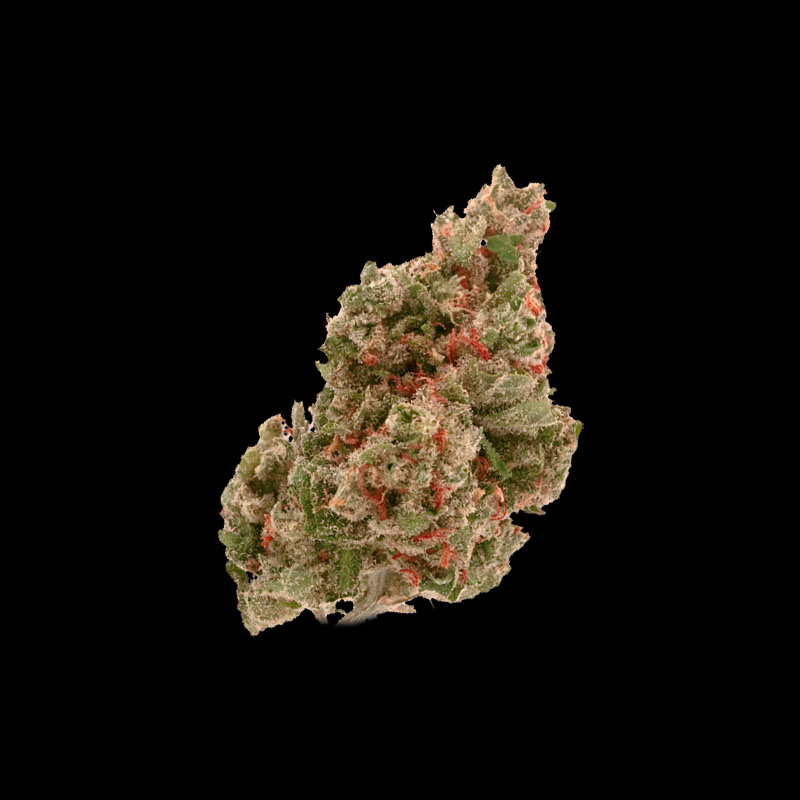 Geoogste Jack Herer Top - Goedkope Wietzaden