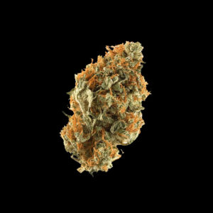 Mooie Orange Bud Top van Huismerk Wietzaadjes GoedkopeWietzaden.nl
